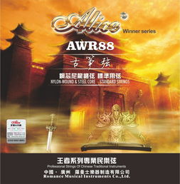 琴人王鹏