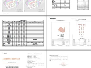 鲁能建筑设计方案文本资料平面图下载 施工方案文本图片大全 编号 17048387
