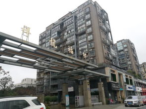 2019嘉师傅大赛冠军滕剑良 墙纸墙布施工品牌化运营就是核心竞争力